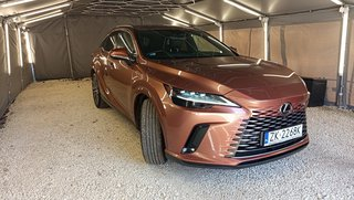 Lexus_RX_17827_58202.webp