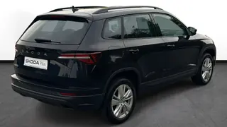 Skoda_Karoq_18010_59689.webp
