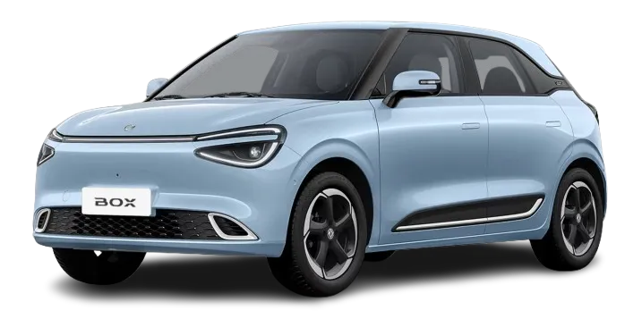 Dongfeng_Box_15573.webp