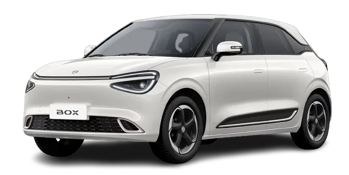 Dongfeng_Box_15575.webp
