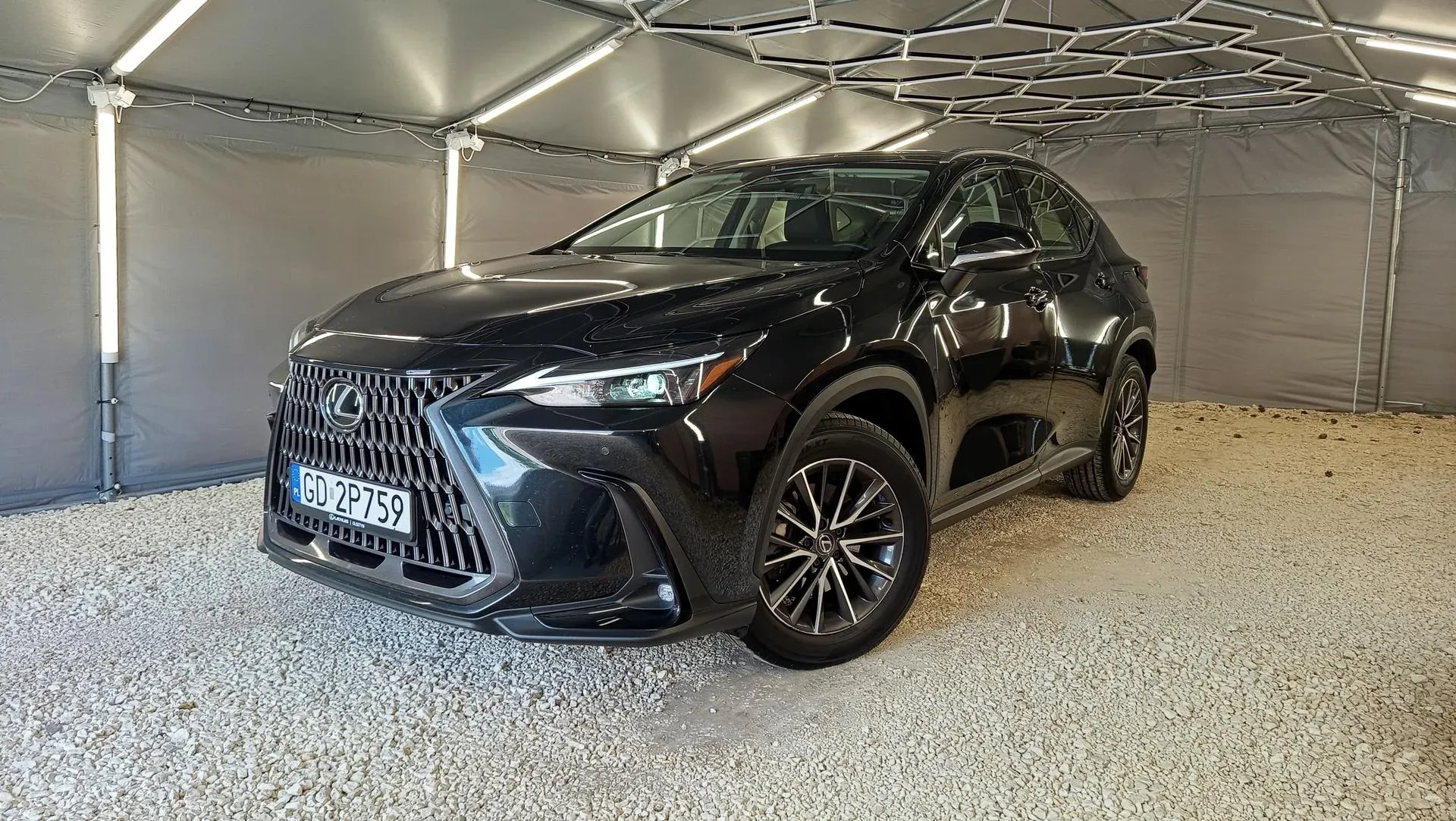 Lexus_NX_16964.webp