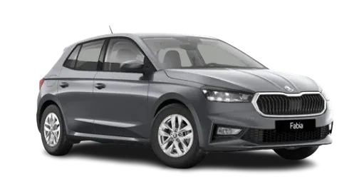 Skoda_Fabia_17308.webp