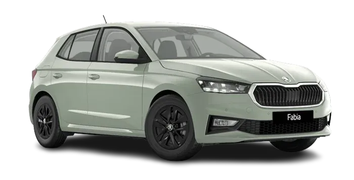 Skoda_Fabia_18092.webp